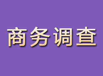 长葛商务调查